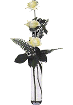 a vase with white roses